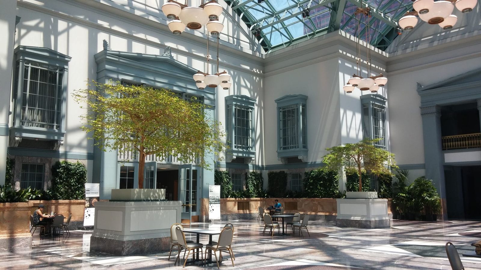 Indoor garden atrium with trees, ivy planters and scattered cafe tables