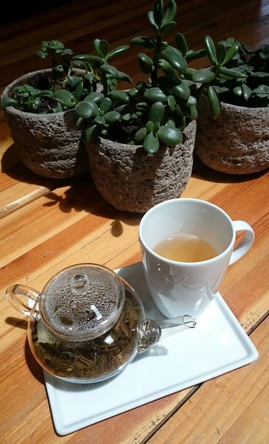Glass teapot of loose leaf tea and cup beside jade plants