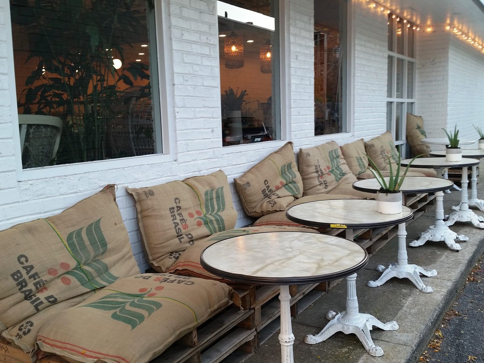 Covered patio with string lights, hanging ferns, ivy and a carved pumpkin